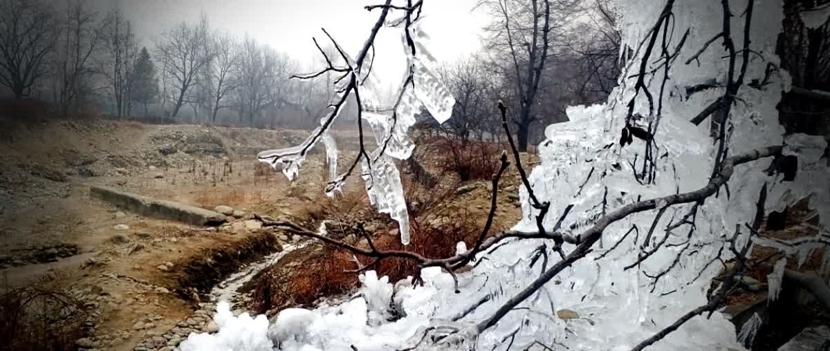 KASHMIR