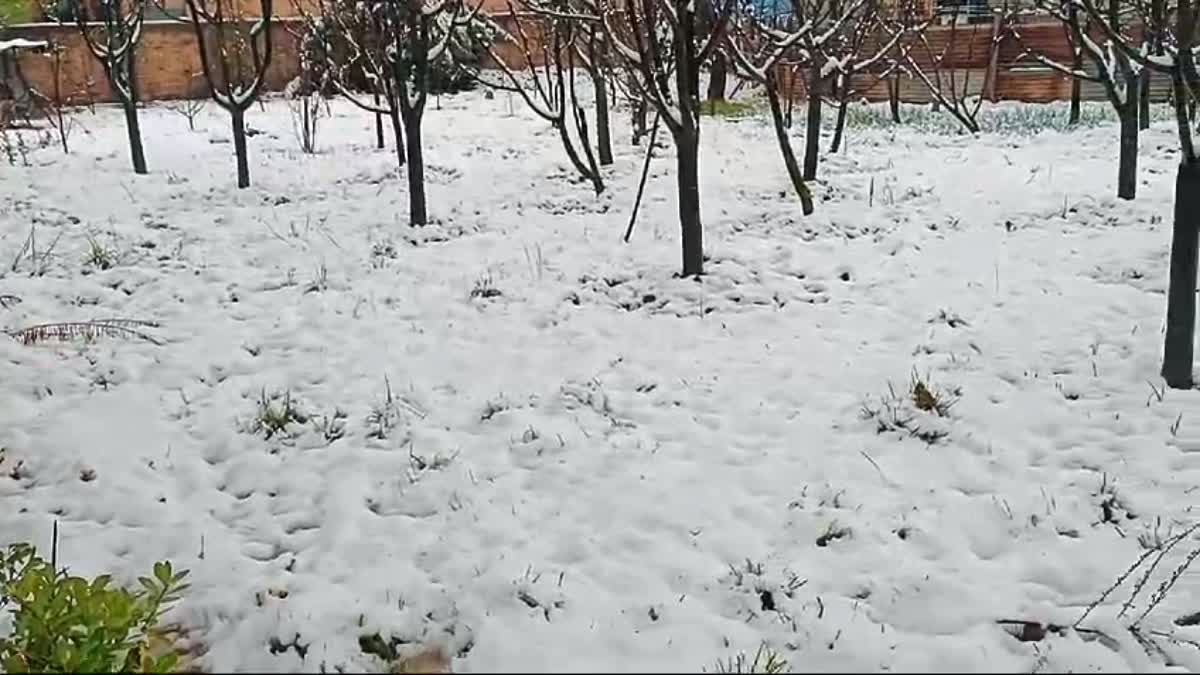 representation image