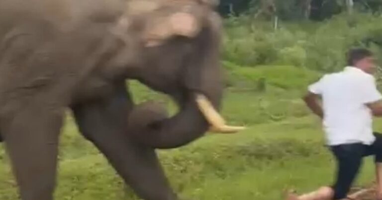 representation image