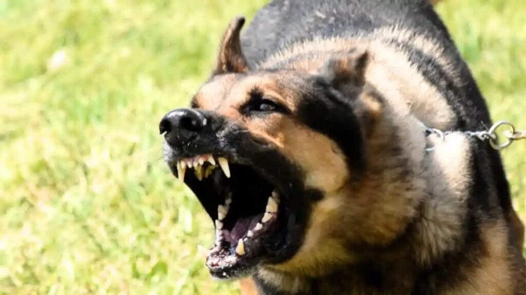 representation image