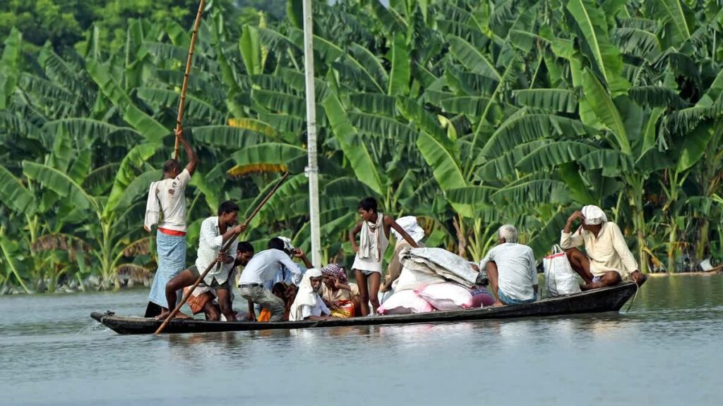 representation image