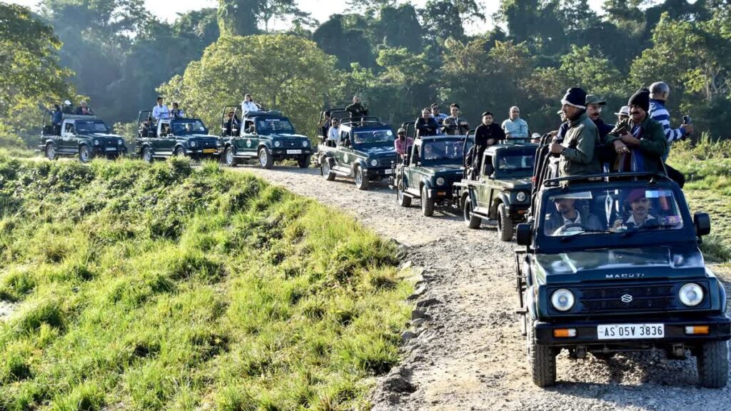 representation image