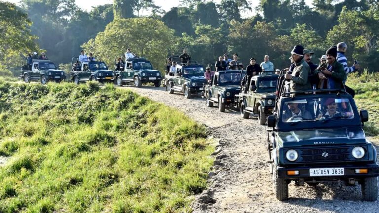 representation image