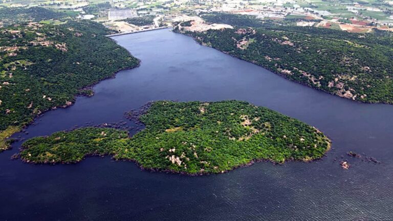 representation image