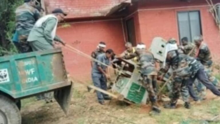 representation image