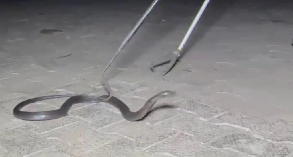 representation image