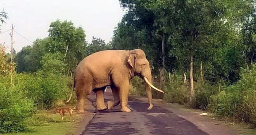 representation image