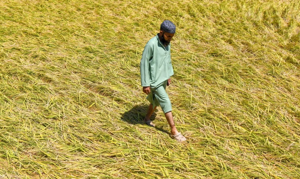 representation image