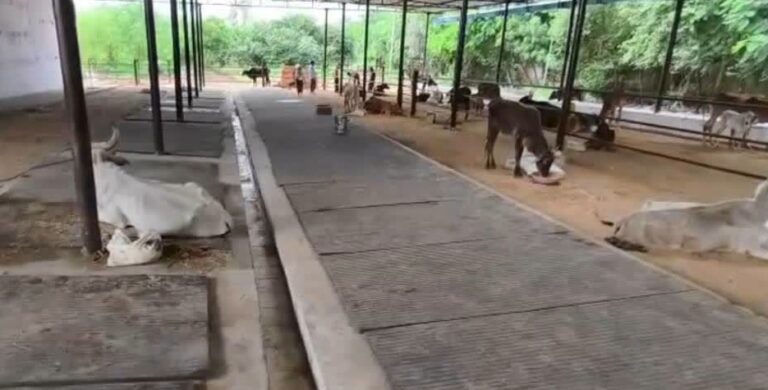 representation image