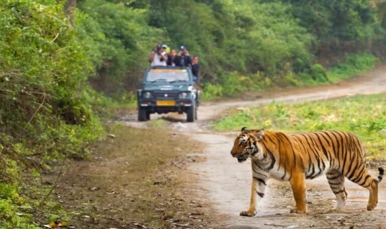 representation image