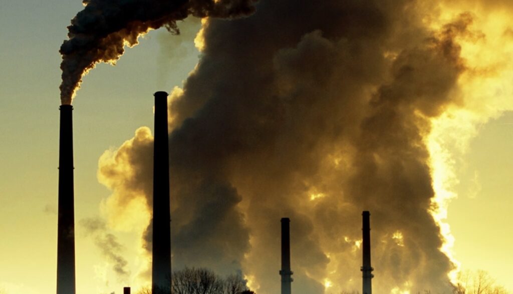 representation image