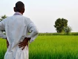 representation image (farmer)